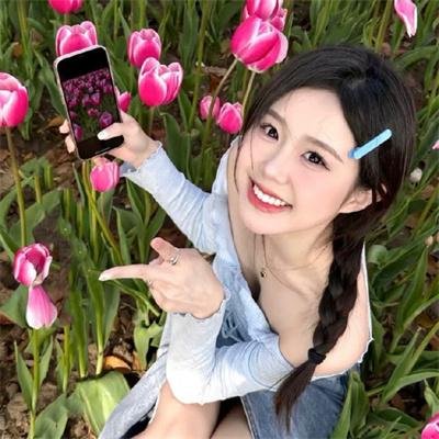 美人记·昭君