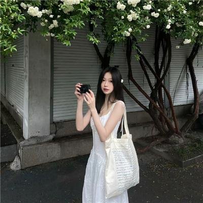 不可模仿的伟大狄更斯先生