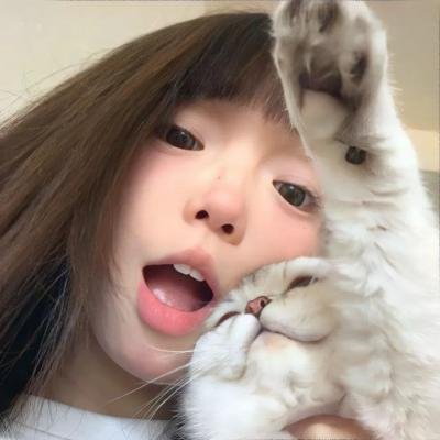 冷案